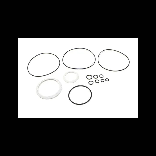 Hydrostatic Motor Seal Kit, 6514895