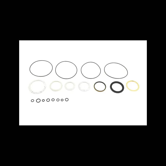 Hydrostatic Motor Seal Kit, 6598463