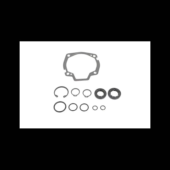 Hydrostatic Seal Kit, 6598896