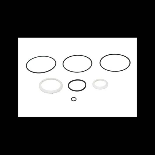 Swing Motor Seal Kit, 6658527