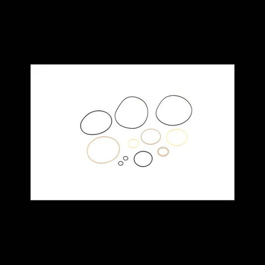 Hydrostatic Motor Seal Kit, 6659601