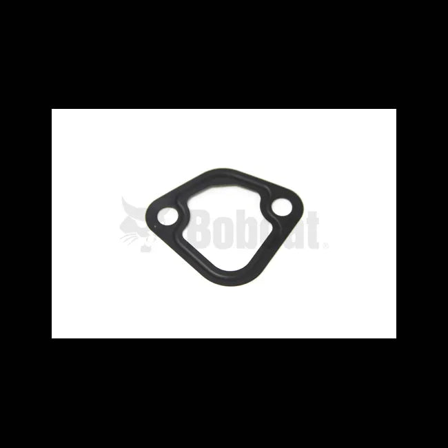 Fuel Pump Gasket, 6670782