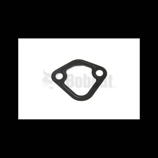 Fuel Pump Gasket, 6670782