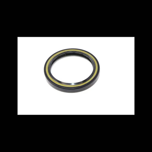 Seal for Hydrostatic Motor, 6674056