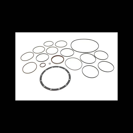 Hydrostatic Seal Kit, 6675870