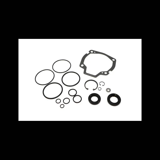 Hydrostatic Seal Kit, 6677608