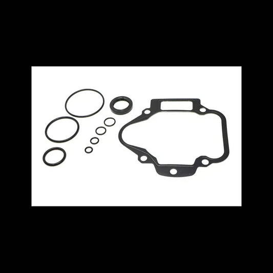 Hydrostatic Seal Kit, 6677777