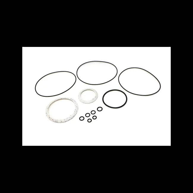 Complete Swing Motor Seal Kit, 6685181