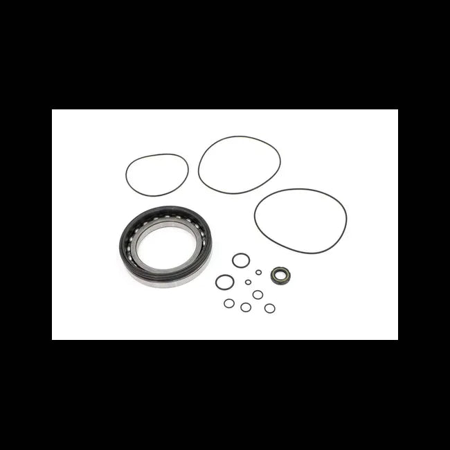 Major Rebuild Seal Kit for Travel Motors, 6688121