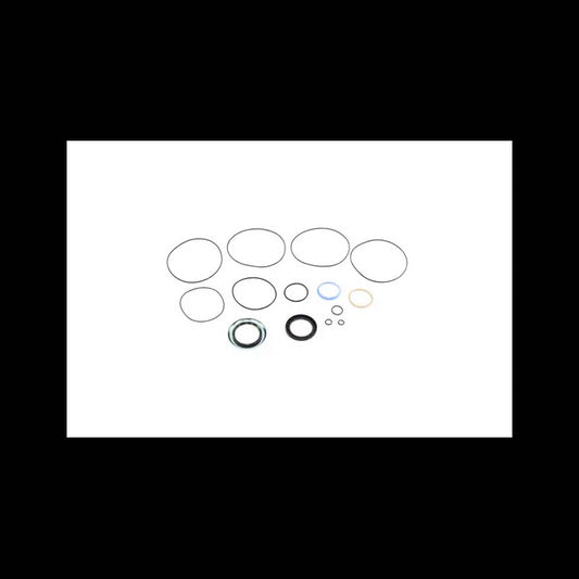 Hydrostatic Seal Kit, 6691341