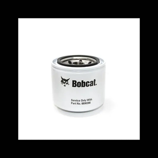 Oil Filter, 6696286