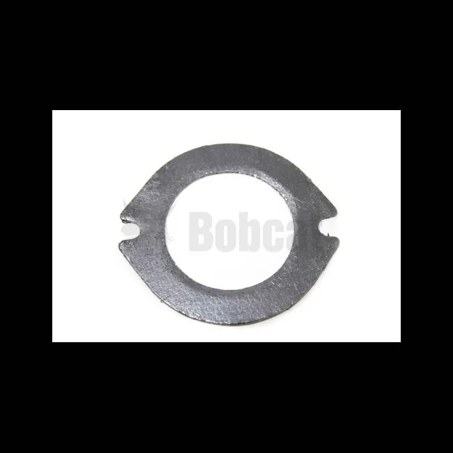 Exhaust Gasket, 6713653