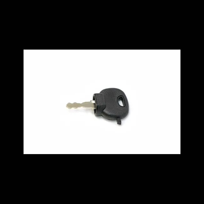 Ignition and Door Key for Backhoe Loaders and VersaHandlers, 6971041