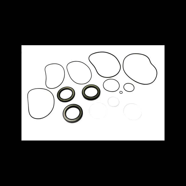 Hydrostatic Motor Seal Kit, 7011987