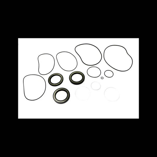 Hydrostatic Motor Seal Kit, 7011987