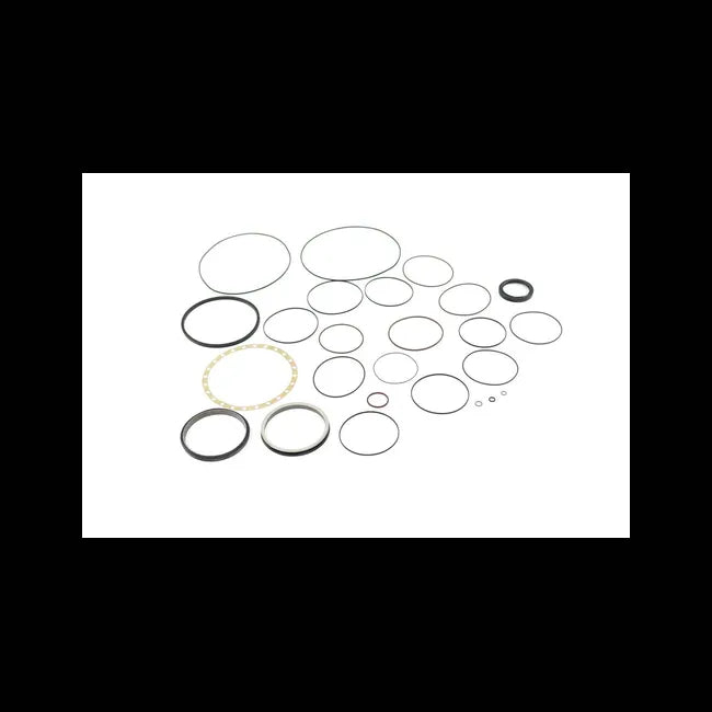 Hydrostatic Motor Seal Kit, 7024970