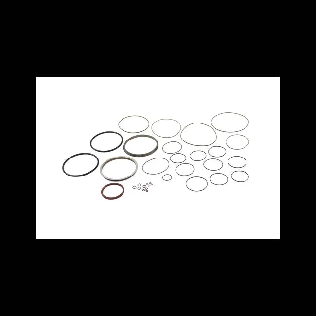 Hydrostatic Motor Seal Kit, 7255578