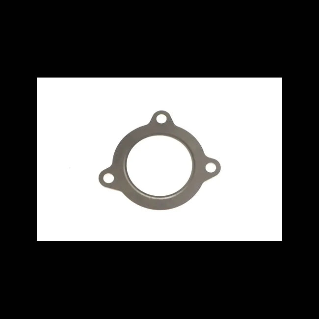 Exhaust Gasket, 7256782