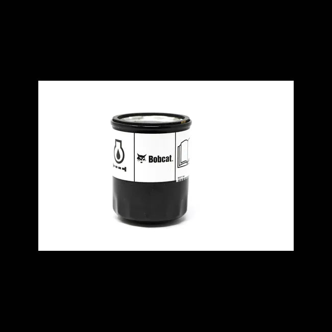 Engine Oil Filter, 7257438