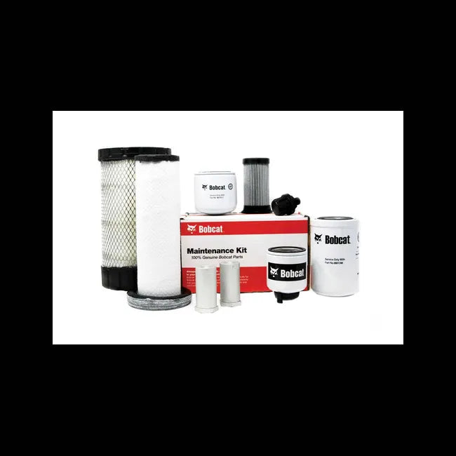 1000/2000 Hour Maintenance Kit, Canister Filter, 7333696