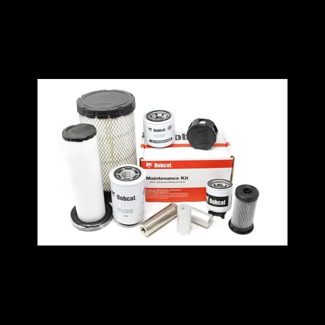 1000/3000 Hour Maintenance Kit, Canister Filter, 7343849