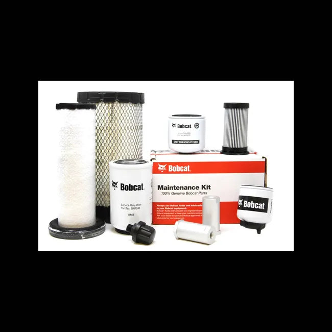 1000/2000 Hour Maintenance Kit, Canister Filter, 7343881