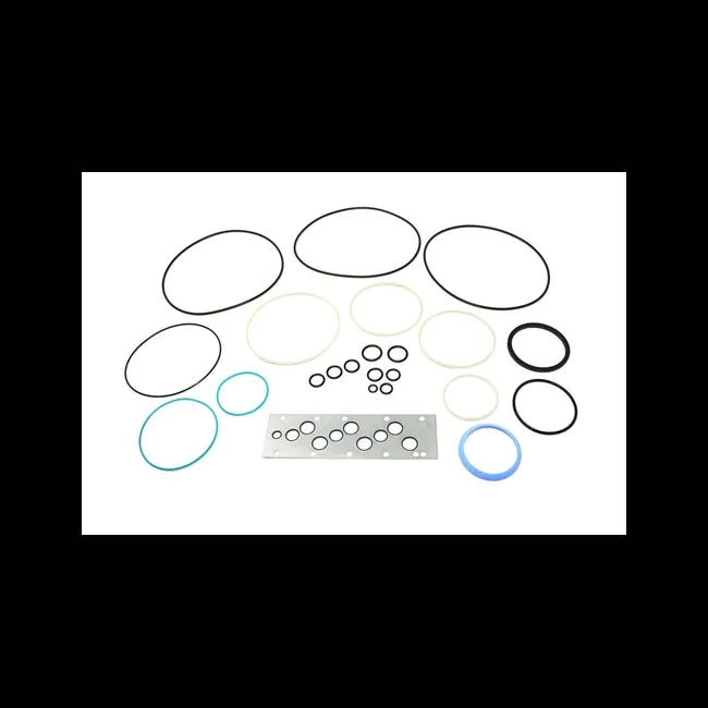 Hydrostatic Motor Seal Kit, 7360046