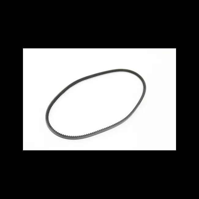 Alternator V Belt, 7360669